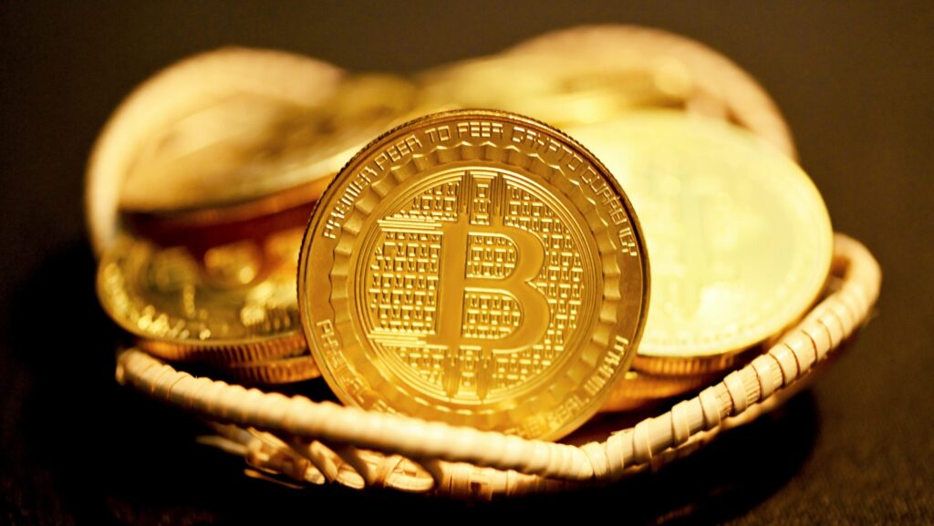 kanchanara 31a R429wuY unsplash scaled e1730709218376