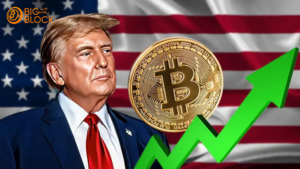 比特幣漲破9萬美元!加密貨幣詐騙激增,50起假平台案涉200萬美金 6 川普勝選 加密貨幣詐騙