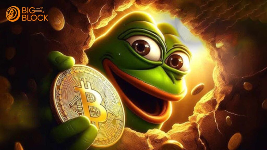 2025 年加密投資展望：比特幣回調與 Wall Street Pepe崛起