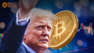 特朗普當選後 比特幣ETF吸引近100億美元資金 3 特朗普當選後 比特幣ETF吸引近100億美元資金