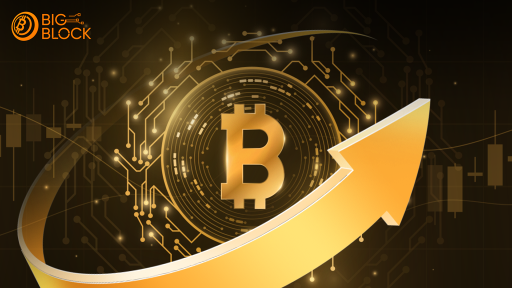 比特幣今年漲幅超140%，歷史若重演明年可望突破15萬美元