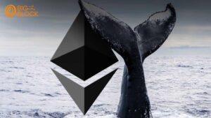 巨鯨資金推動以太坊反彈 新迷因幣$STARS強勢登陸DEX 6 巨鯨資金推動以太坊反彈 新迷因幣$STARS強勢登陸DEX