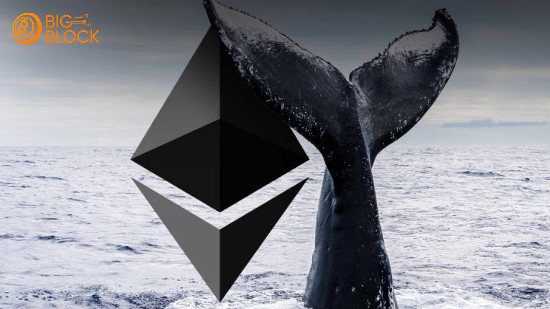 巨鯨資金推動以太坊反彈 新迷因幣$STARS強勢登陸DEX 2 巨鯨資金推動以太坊反彈 新迷因幣$STARS強勢登陸DEX