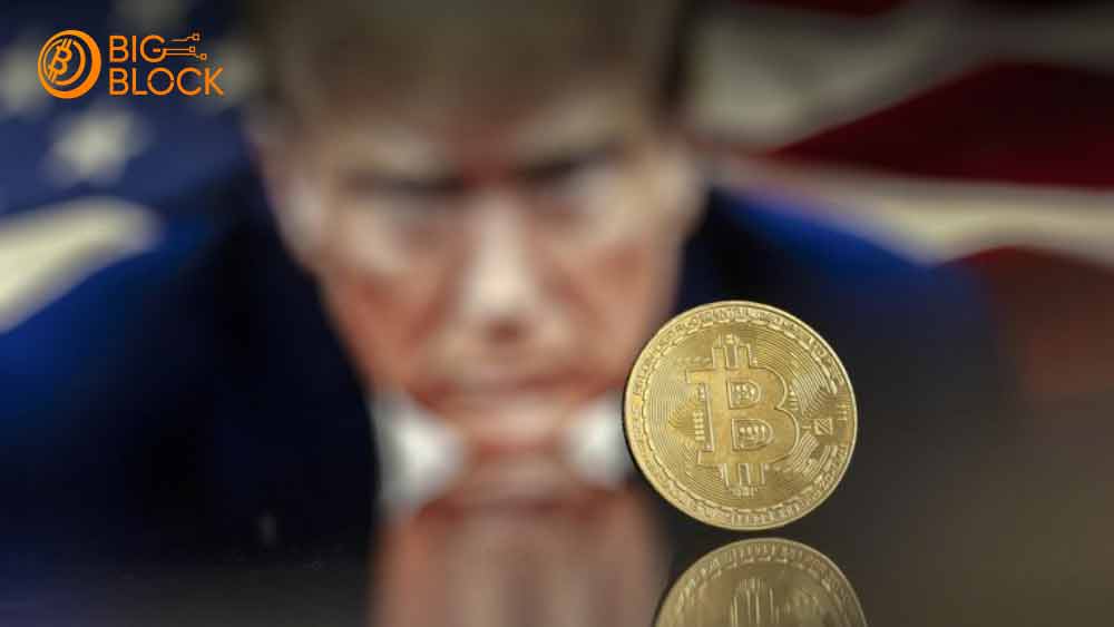 川普上任100天內建立比特幣儲備機率降至31%，或通過兩大途徑實現，捷克跟上步伐