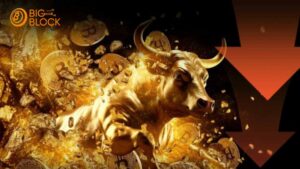 囤幣潮引供應緊縮 比特幣存款量新低 牛市跡象逐步浮現 5 囤幣潮引供應緊縮 比特幣存款量新低 牛市跡象逐步浮現